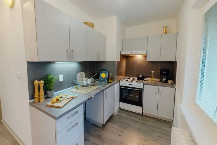 Pronájem bytu 1+1, Ostrava - Výškovice, 29. dubna, 35 m2