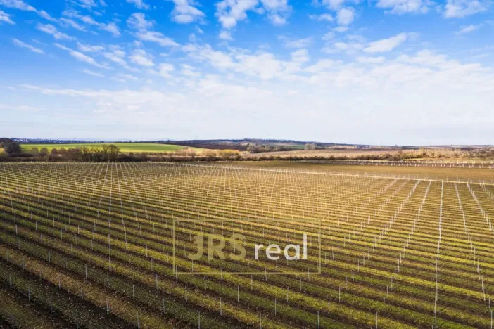 Prodej rodinného domu, Prušánky, Nechory, 145 m2