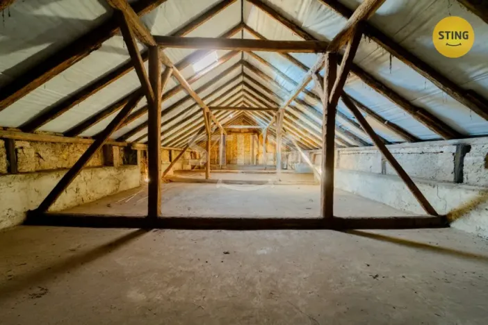 Prodej zemědělské usedlosti, Holasovice, 410 m2