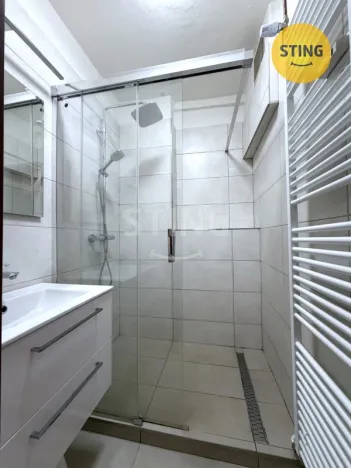 Pronájem bytu 2+1, Ostrava, Dvorní, 50 m2