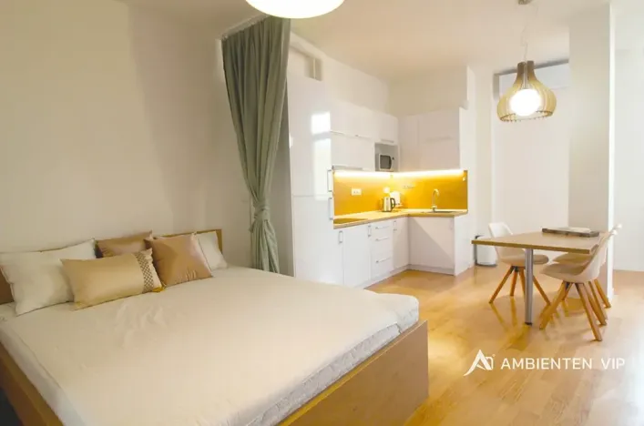 Pronájem bytu 1+kk, Brno, Kobližná, 54 m2