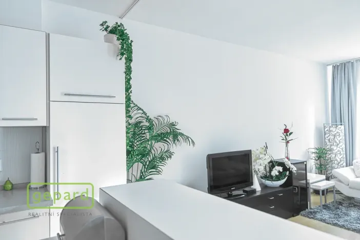 Prodej bytu 3+kk, Jablonec nad Nisou, Dvorská, 86 m2