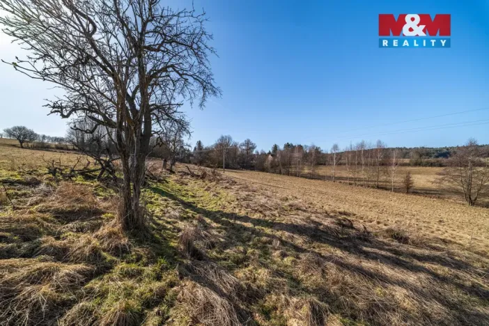 Prodej pozemku, Olbramov - Zádub, 4189 m2