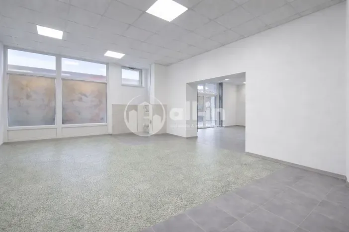 Pronájem obchodního prostoru, Vyškov - Brňany, Palánek, 252 m2