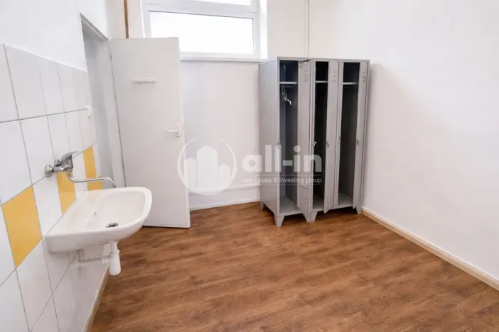 Pronájem obchodního prostoru, Vyškov - Brňany, Palánek, 252 m2