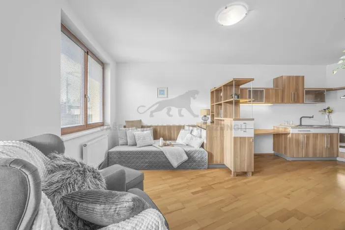 Prodej bytu 1+kk, Praha - Podolí, Dvorecká, 34 m2