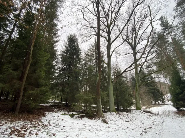 Prodej pozemku, Veliny, 180 m2