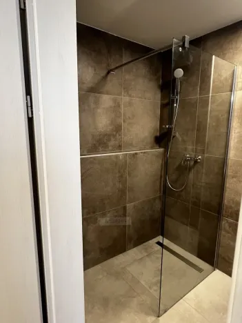 Pronájem bytu 1+kk, České Budějovice, Chelčického, 47 m2