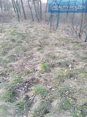 Pronájem zahrady, Dětkovice, 581 m2