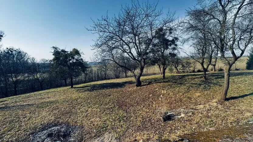 Prodej pozemku pro bydlení, Vítonice, 3362 m2
