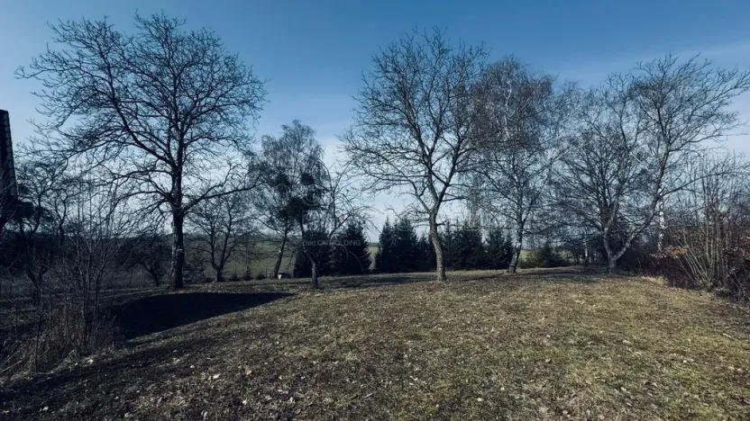 Prodej pozemku pro bydlení, Vítonice, 3362 m2