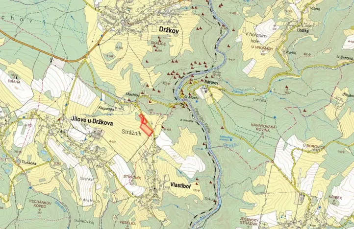 Prodej louky, Jílové u Držkova, 12382 m2