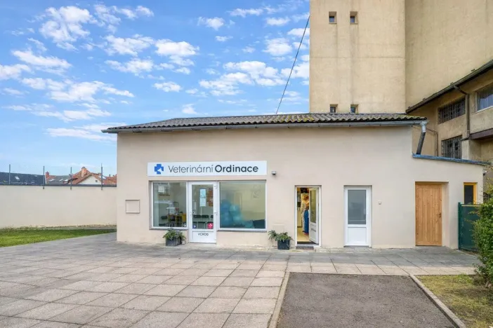 Pronájem ordinace, Mnichovo Hradiště, Masarykovo náměstí, 57 m2