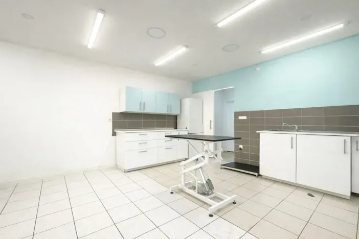 Pronájem ordinace, Mnichovo Hradiště, Masarykovo náměstí, 57 m2