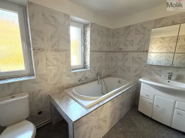 Pronájem bytu 3+1, Most, Vinohradská, 100 m2