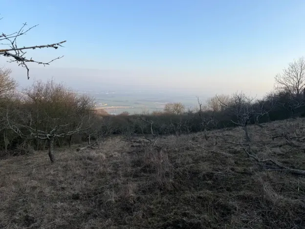 Prodej zahrady, Litoměřice - Předměstí, Veveří, 3183 m2