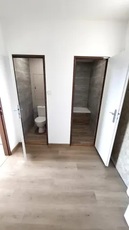 Pronájem bytu 1+kk, Plzeň, Sokolovská, 30 m2