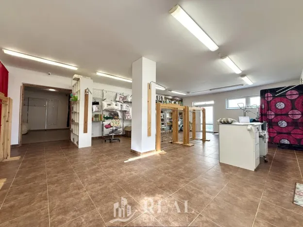 Prodej rodinného domu, Skršín, 524 m2