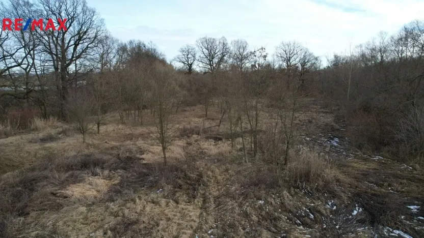 Prodej komerčního pozemku, Polom, 40000 m2