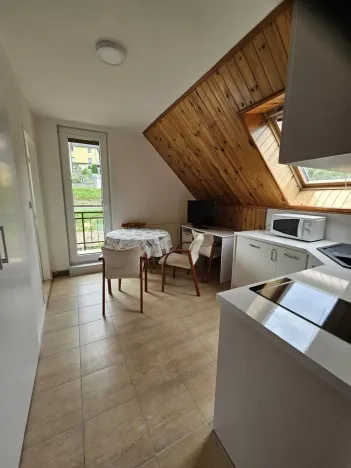 Prodej atypického bytu, Jeseník, Na Úbočí, 137 m2