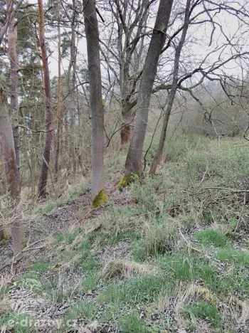 Dražba pozemku, Sušice, 4383 m2