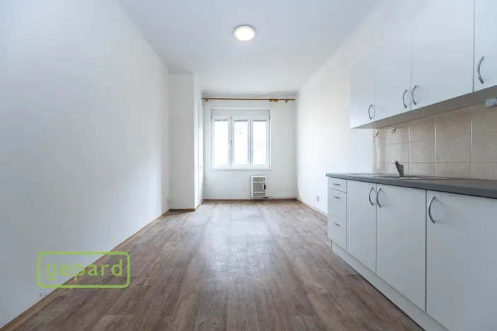 Pronájem bytu 1+1, Praha, Pod Drinopolem, 53 m2