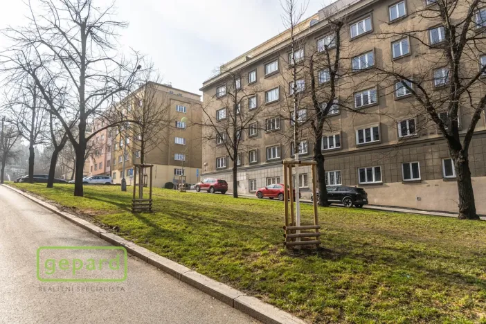 Pronájem bytu 1+1, Praha, Pod Drinopolem, 53 m2