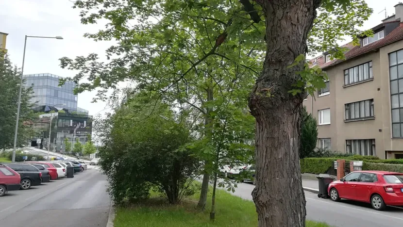 Pronájem bytu 3+kk, Praha, Kladenská, 82 m2