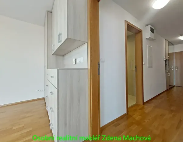 Pronájem bytu 1+kk, Praha - Žižkov, 38 m2