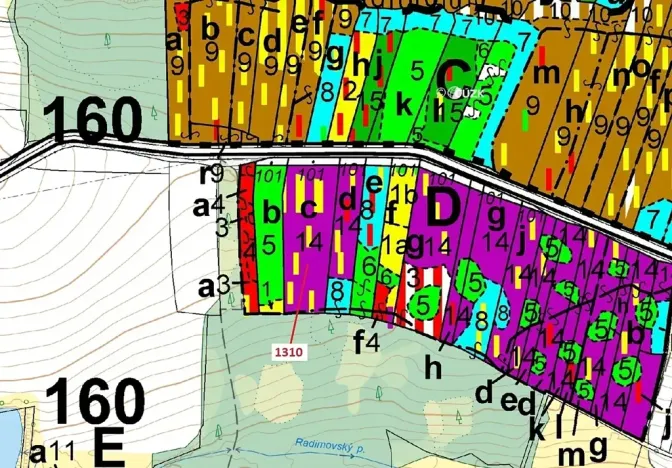 Dražba lesa, Skalice, 7441 m2