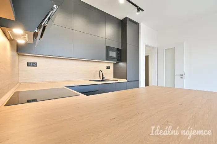 Pronájem bytu 2+kk, Brno - Staré Brno, Ghegova, 51 m2