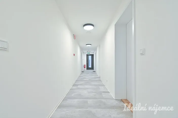 Pronájem bytu 2+kk, Brno - Staré Brno, Ghegova, 51 m2