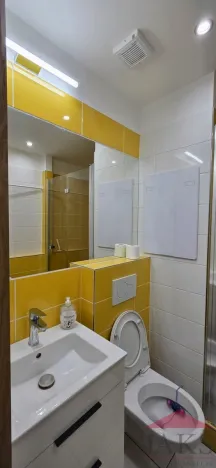 Pronájem bytu 1+1, Jihlava, Březinova, 32 m2