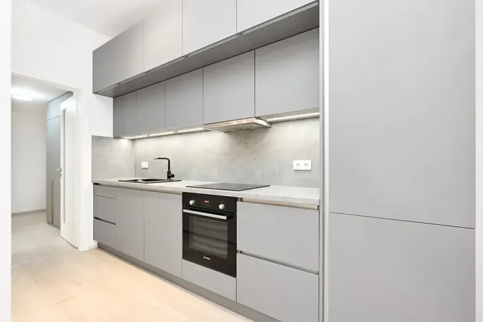 Prodej bytu 1+kk, Praha - Žižkov, Hartigova, 45 m2