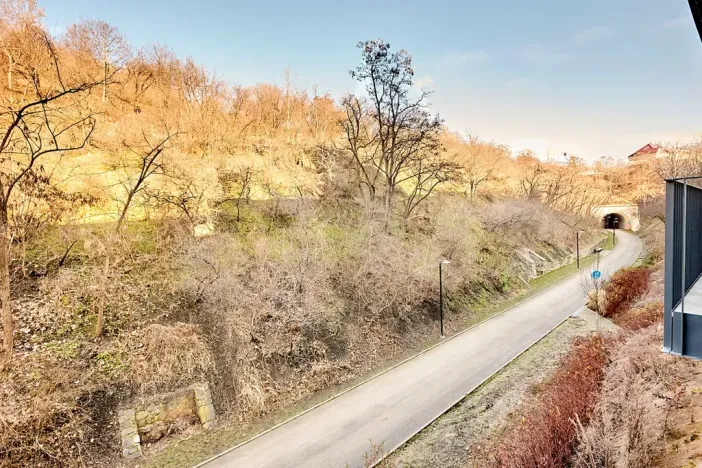 Prodej bytu 1+kk, Praha - Žižkov, Hartigova, 45 m2