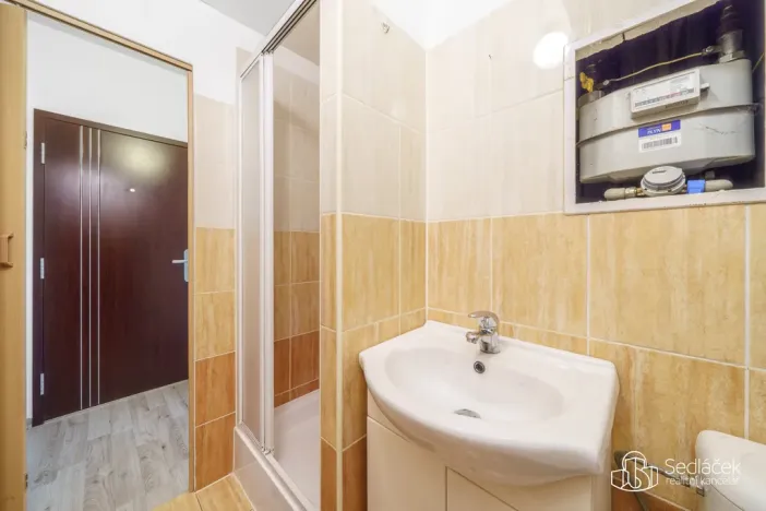 Prodej bytu 1+1, Sokolov, Švabinského, 38 m2