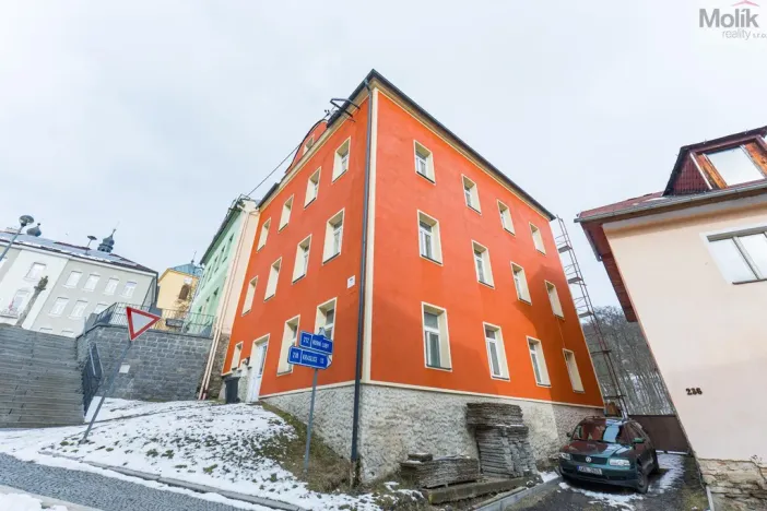 Prodej vícegeneračního domu, Luby, Chebská, 445 m2