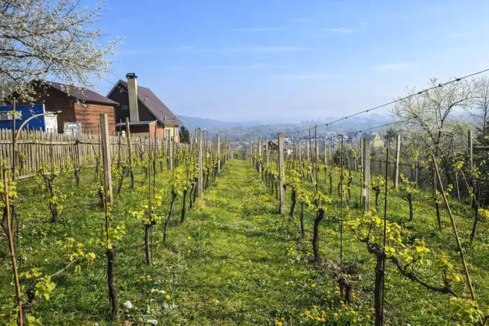 Prodej zahrady, Malé Žernoseky, 992 m2