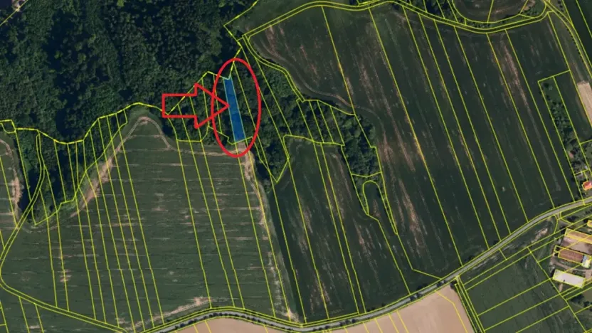 Prodej lesa, Lhota, 1562 m2