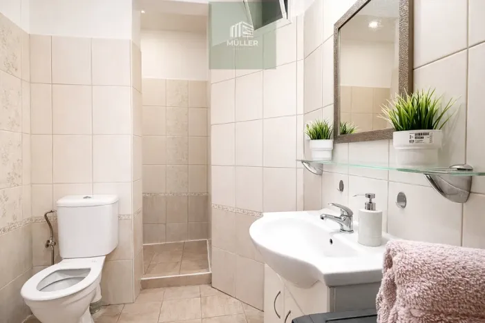 Prodej bytu 3+kk, Plzeň, Vrchlického, 72 m2