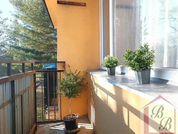 Prodej bytu 2+1, Mladá Boleslav, Jana Palacha, 63 m2