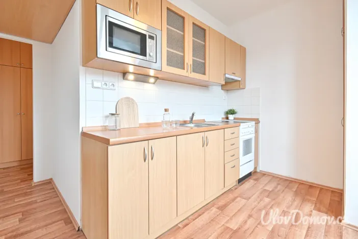 Prodej bytu 2+1, Praha - Břevnov, Patočkova, 51 m2