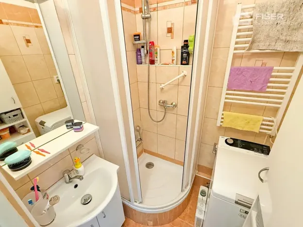 Pronájem bytu 2+1, Valašské Meziříčí, Růžová, 56 m2