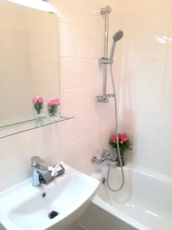 Pronájem bytu 2+1, Ostrava - Hrabůvka, Plzeňská, 55 m2