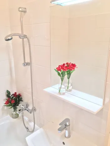 Pronájem bytu 2+1, Ostrava - Dubina, Jana Maluchy, 44 m2