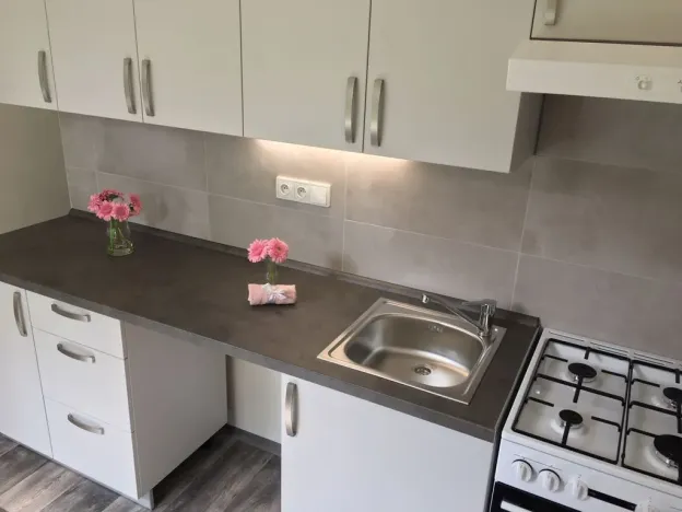 Pronájem bytu 1+1, Ostrava - Zábřeh, Svazácká, 35 m2