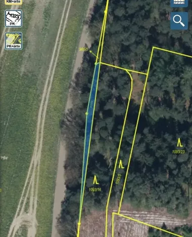 Prodej lesa, Veliny, 5028 m2