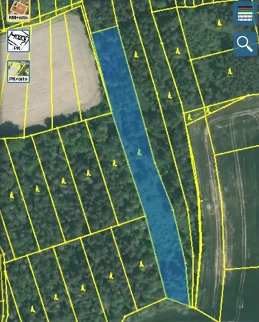 Prodej lesa, Blížejov, 11251 m2