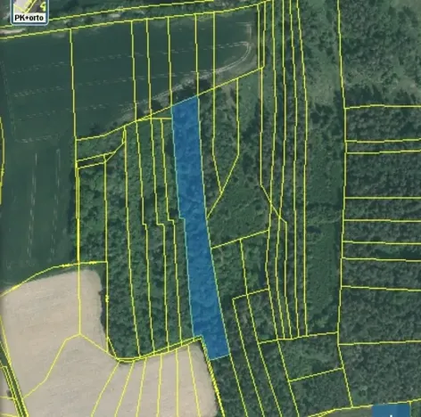 Prodej lesa, Blížejov, 11251 m2
