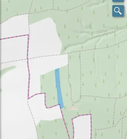 Prodej lesa, Blížejov, 11251 m2